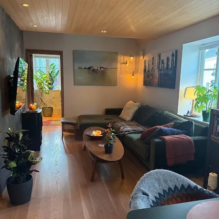 House In Son Old Town - Oslo Fjord Villa *